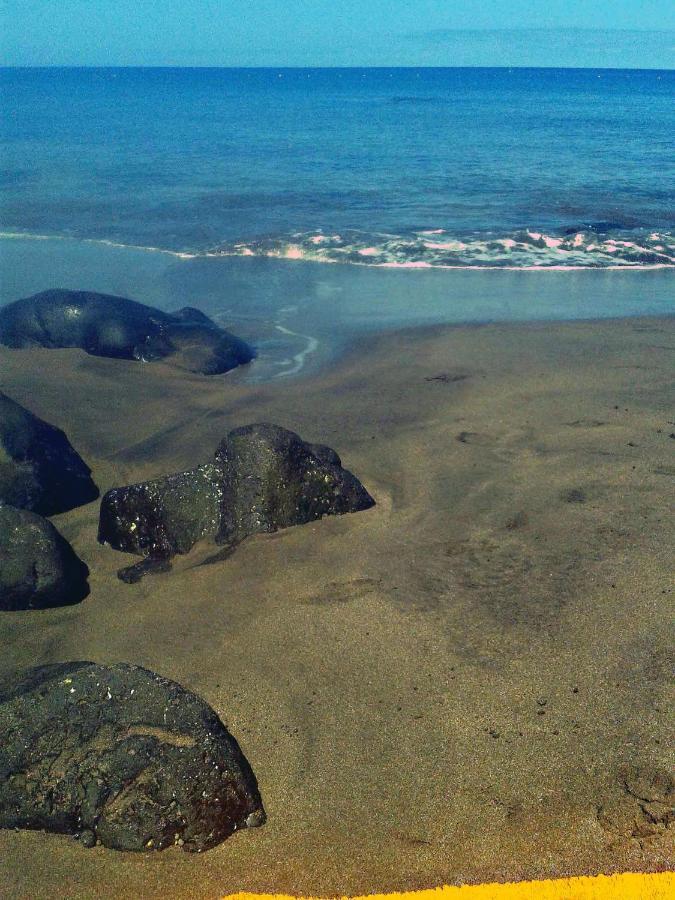 Apartamento A 1 Minuto De La Playa De Sardina Λας Πάλμας ντε Γκραν Κανάρια Εξωτερικό φωτογραφία